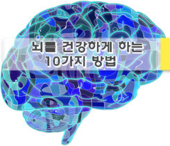 뇌를 건강하게 하는 10가지 방법