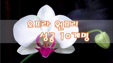 오프라 원프리 성공 10계명