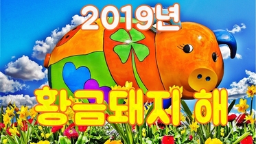2019년 황금돼지띠 기해년 새해 인사 종결자